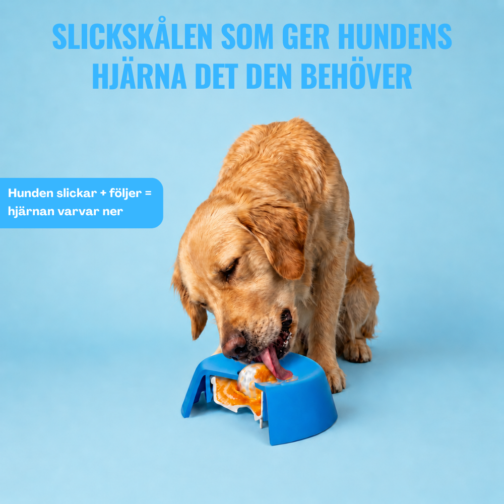 Voffra - Lugnande slickskål!