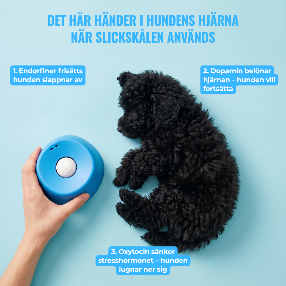 Voffra - Lugnande slickskål!